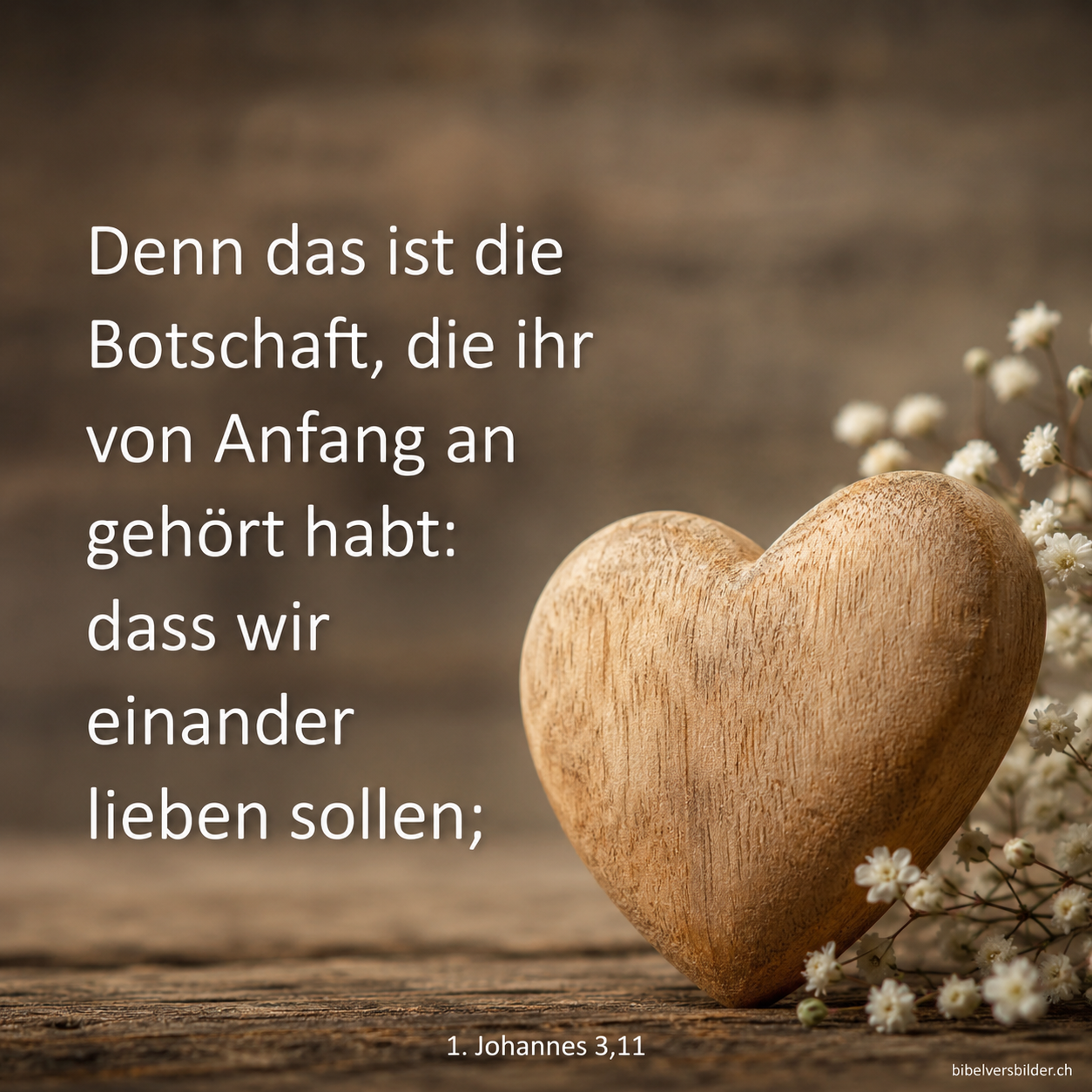 1. Johannes 3,11