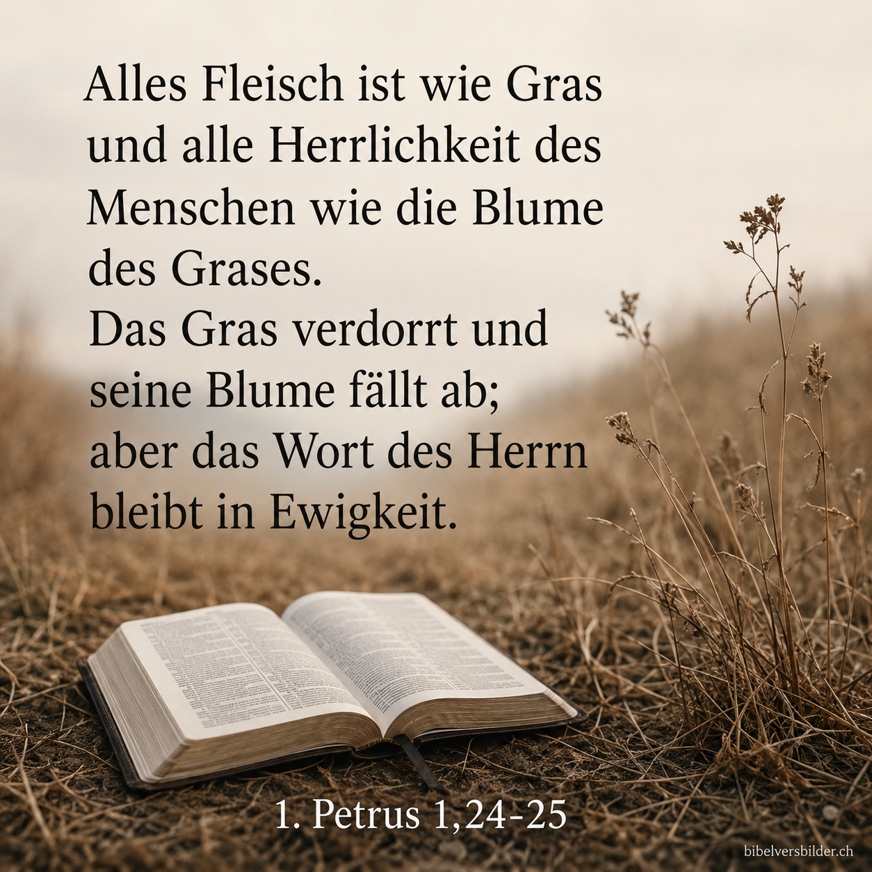 1. Petrus 1,24-25