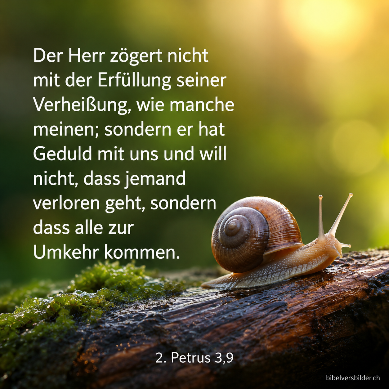 2. Petrus 3,9