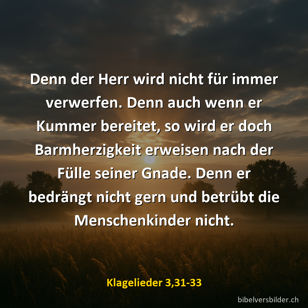 Klagelieder 3,31-33