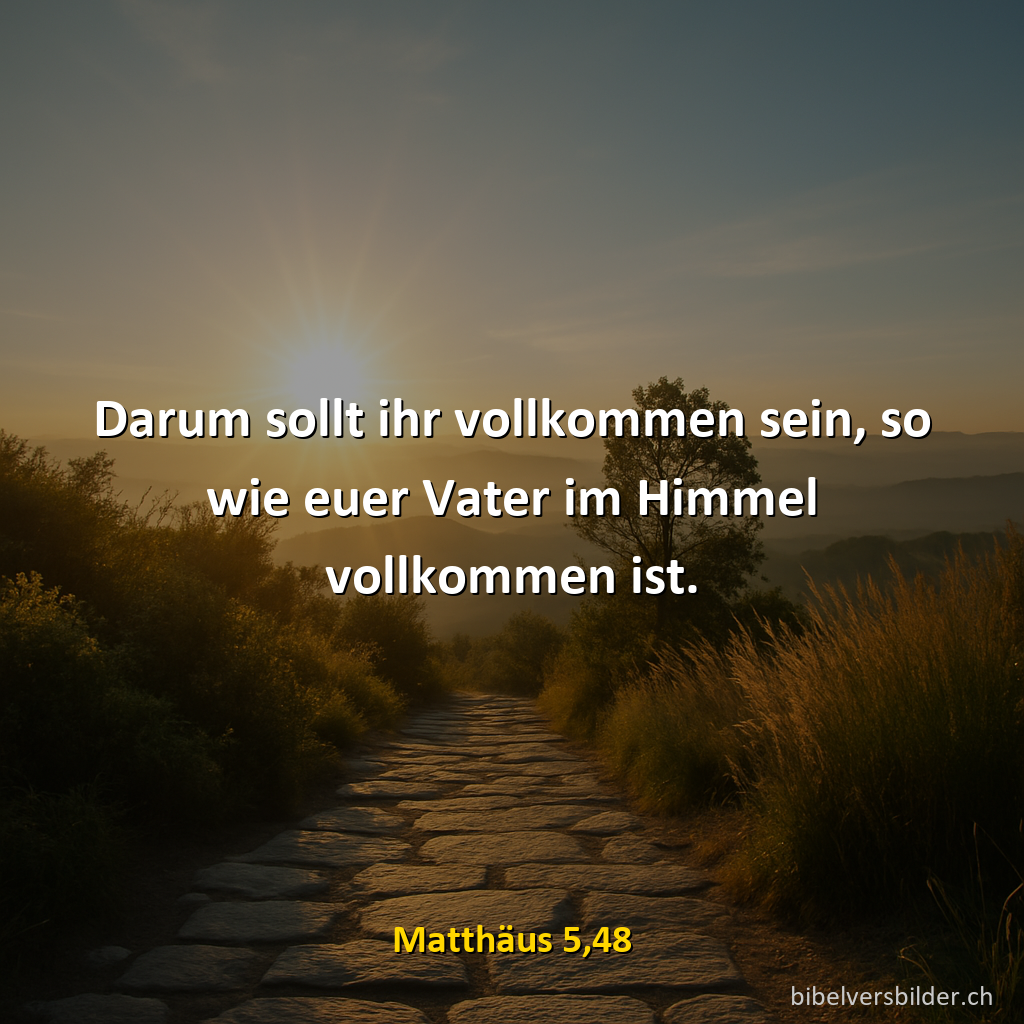 Matthäus 5,48