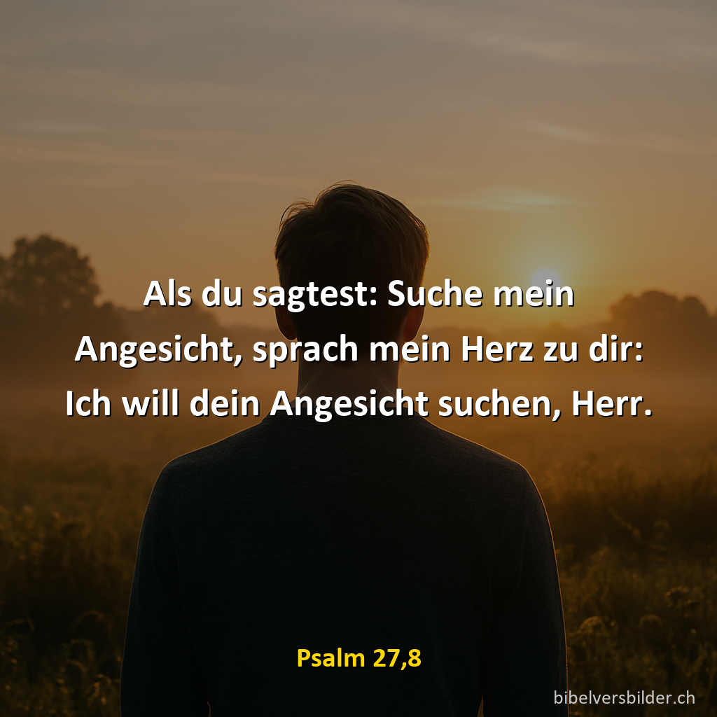 Psalm 27,8