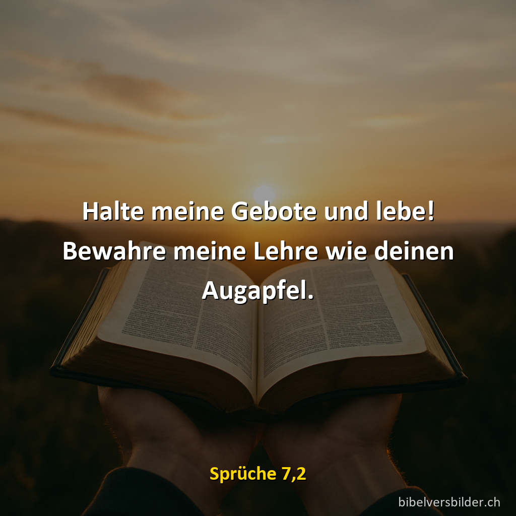 Sprüche 7,2